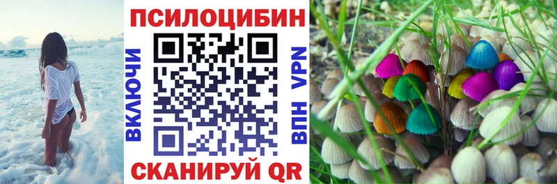 Псилоцибиновые грибы Cubensis  Киров 